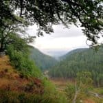 Bilder aus der Region Oybin